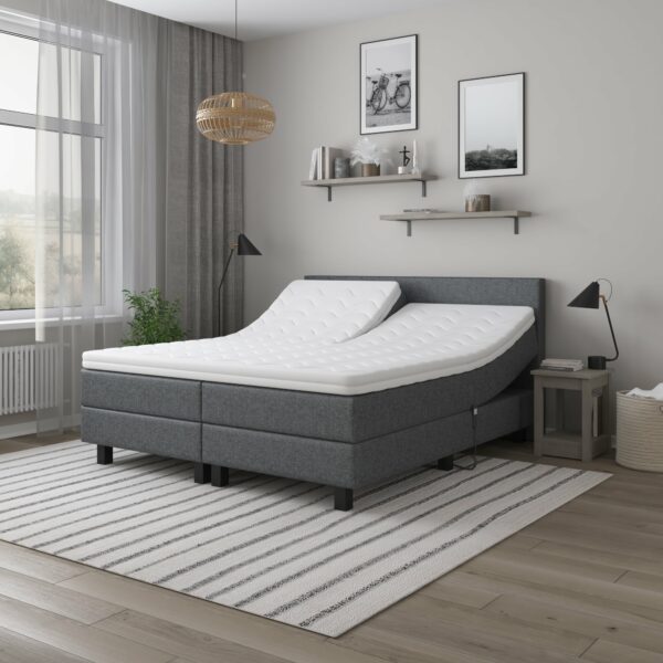 Bijbel verhoging teleurstellen DIRECT LEVERBAAR | Elektrische Boxspring XXL 140x200 cm koopt u bij  BoschBedding