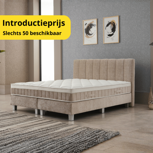boxspring-snooze-introductieprijs